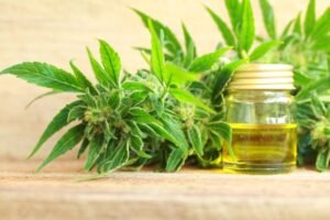 CBD Spray