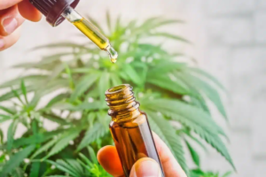 CBD Spray
